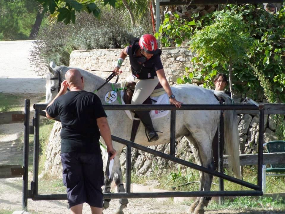 Medalla de plata individual y bronce por equipos para Navarra en el Campeonato de España de TREC 2013